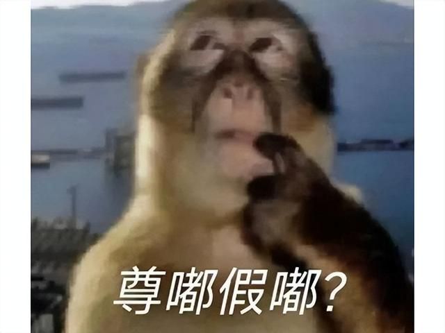 最惨魔兽粉丝？暴雪把游戏停运十年，他们自己做新版本推广！