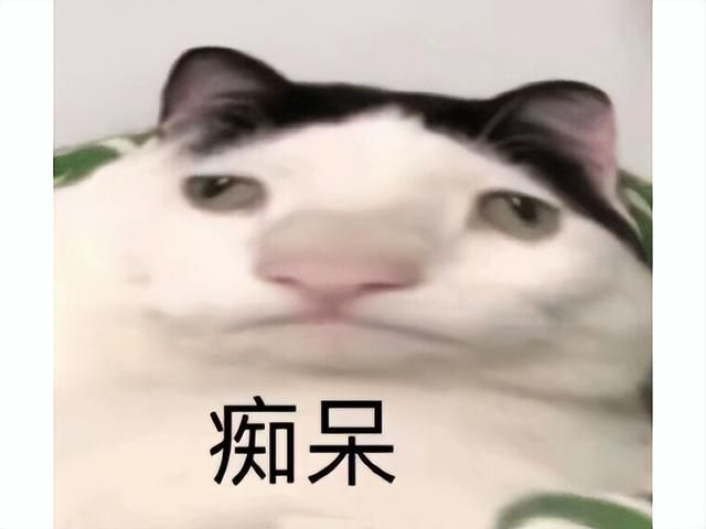 最惨魔兽粉丝？暴雪把游戏停运十年，他们自己做新版本推广！