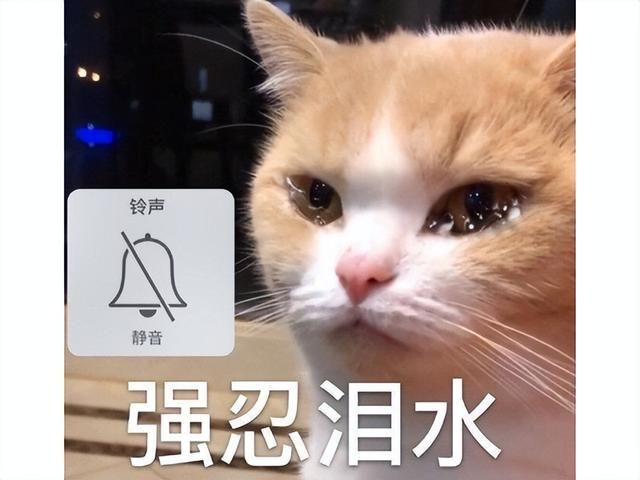 最惨魔兽粉丝？暴雪把游戏停运十年，他们自己做新版本推广！