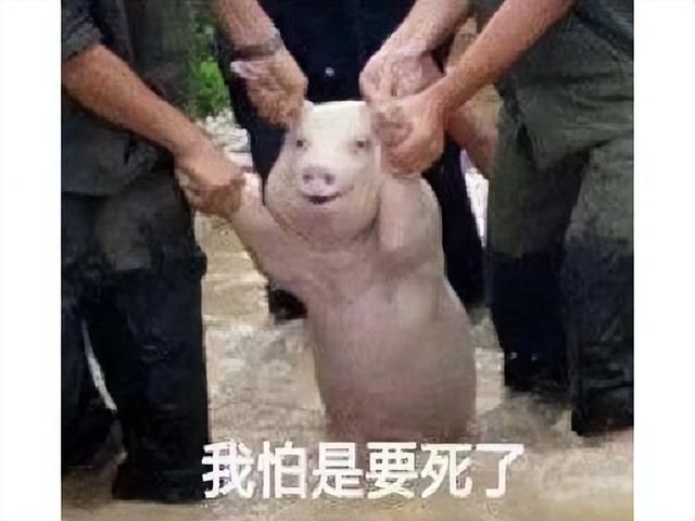 韩国男性集体破大防？因游戏PV中的一个手势，嘲讽“丁丁”尺寸？