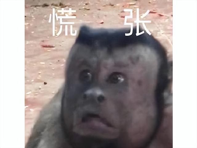 韩国男性集体破大防？因游戏PV中的一个手势，嘲讽“丁丁”尺寸？