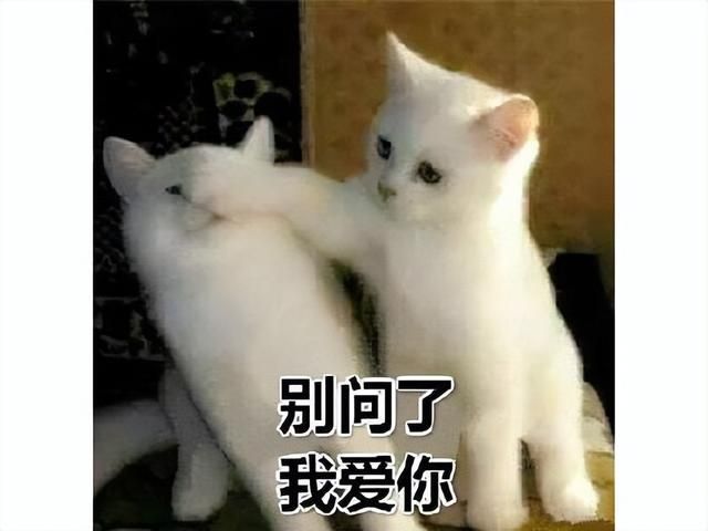 腾讯打磨了5年的大作，死磕PVP浪费了4年，口碑翻车差评过半