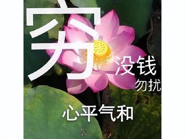 被工作室忽悠的运营商？投资的游戏15天停运，1800多万打水漂