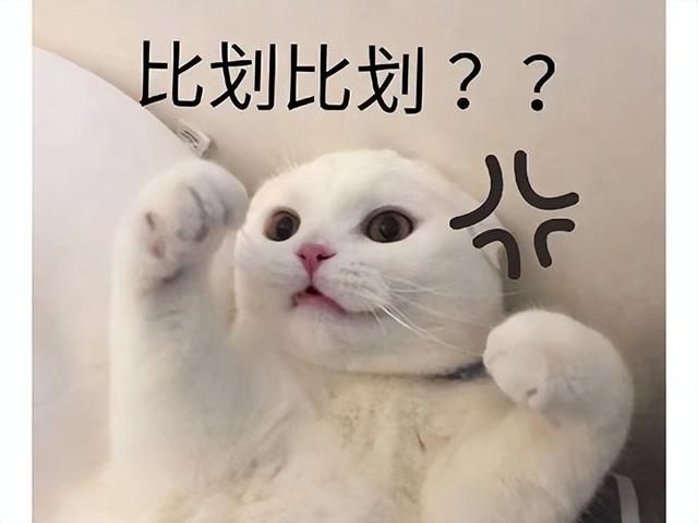 日本大厂做网游又崩了？首日好评仅50%，玩家吐槽：自己玩过吗？