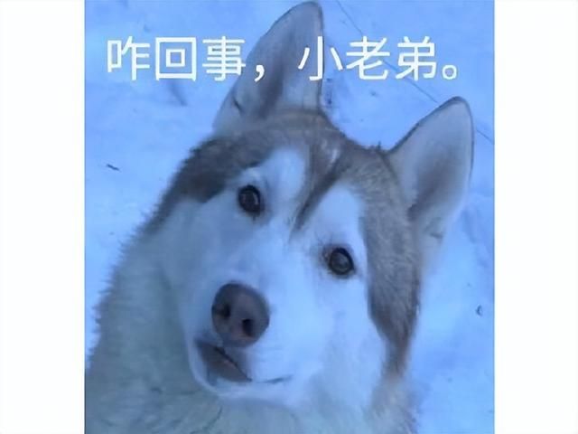 背刺女人的福报？首款全女性开发的游戏，一个名称被女玩家喷媚男