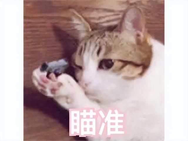 迟来了四年的大作，腾讯国服终于上线，玩家却吐槽：不如国际服？