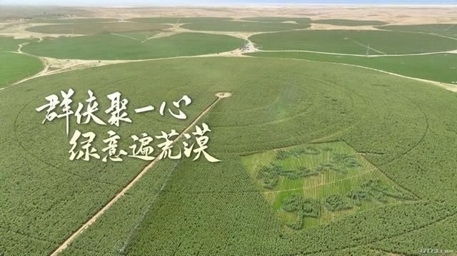 在这款15年老端游的手机版中，正在上演着“萌新拯救计划”