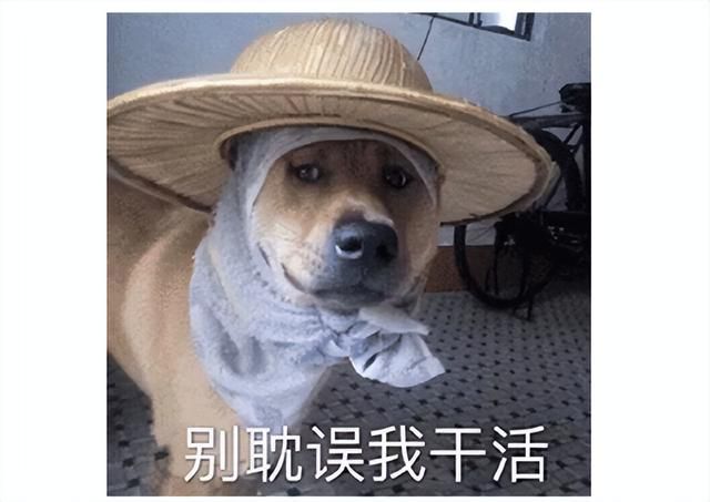 年底又整新活!大受好评的修仙游戏遭大量差评:单机也能炸服务器