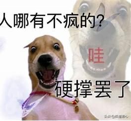 不是小米SU7买不起,而是赛博资产鉴定更有性价比