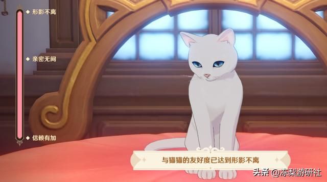 原神赛博撸猫？4.5活动开启云养猫，玩家：吸猫吸到手机没电