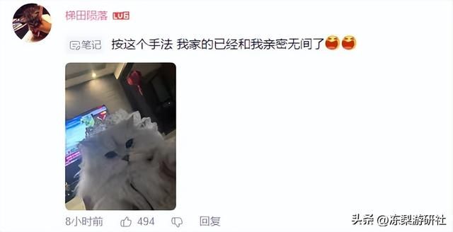 原神赛博撸猫？4.5活动开启云养猫，玩家：吸猫吸到手机没电