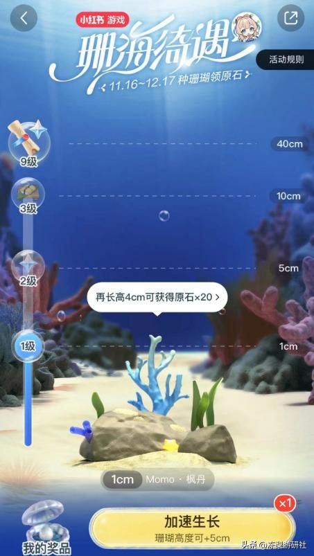 原神联动小红书，请来珊瑚宫心海坐阵，开屏就是美颜暴击