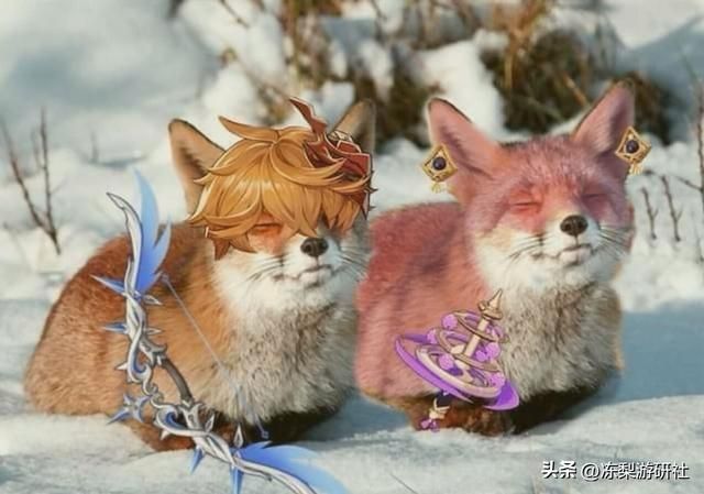 原神：公子八重流水曝光，中规中矩的水平？遭纳西妲榨干后的平静