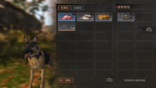 狗子不能理解离别？原来它们一生只会爱一个人