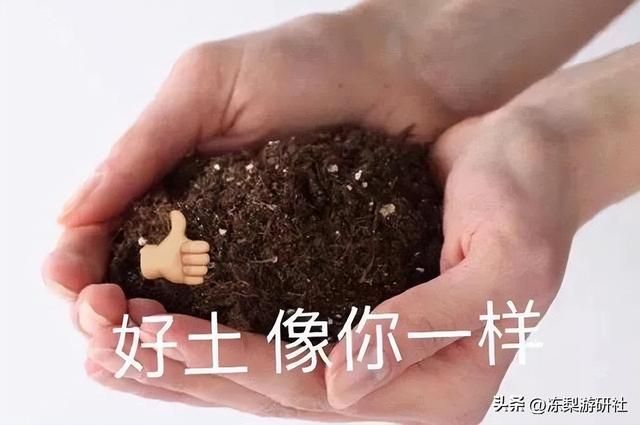 王者从不吃老本！网易第一战斗网游开发GVG平台