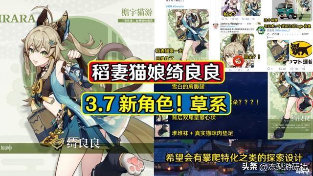 原神：3.7版本新角色来啦！稻妻猫娘绮良良，草元素猫猫