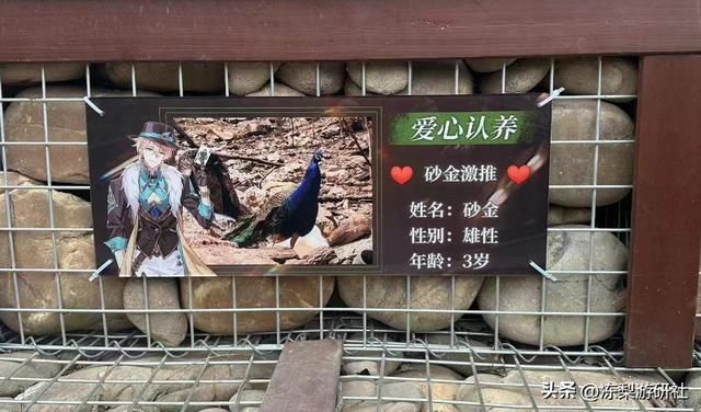 什么？曾经《繁花》中的地标建筑，如今竟也成了二次元圣地？