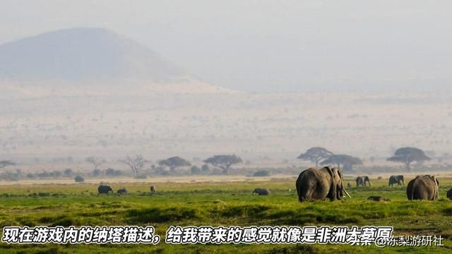 原神：官方透露4条路线！涉及枫丹纳塔，这个饼画得太大了