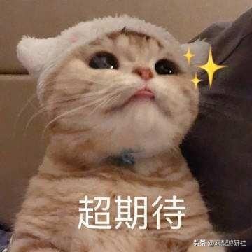 原神：2.5版本「薄樱初绽时」上线，手机也能玩电脑版，就很666