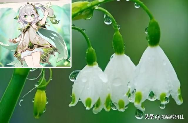 原神：纳西妲的键鼠彩蛋，AI娘确信！烬寂海再被提起