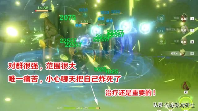 原神：妮露培养攻略，绽放或水伤皆可，附带武器圣遗物推荐