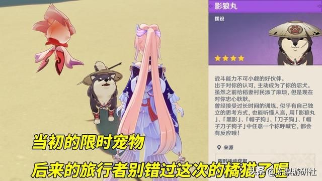 原神：尘歌壶新互动来啦！解锁撸猫玩法，可别错过了