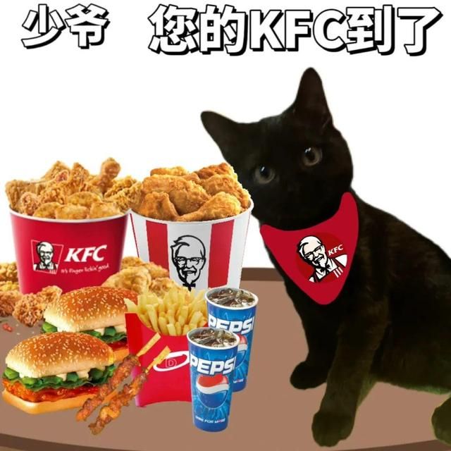 KFC“乌鸡全家桶”上线第一天爆了，网友：太黑了，看着熏眼睛