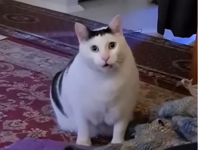 网易做的射击游戏，在国外突然火了，世界第一职业哥催更赶紧上线