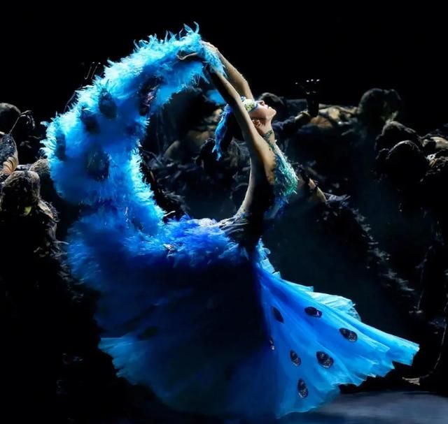 网易聘请杨丽萍为舞学总顾问,网友热评:让逆水寒滚!