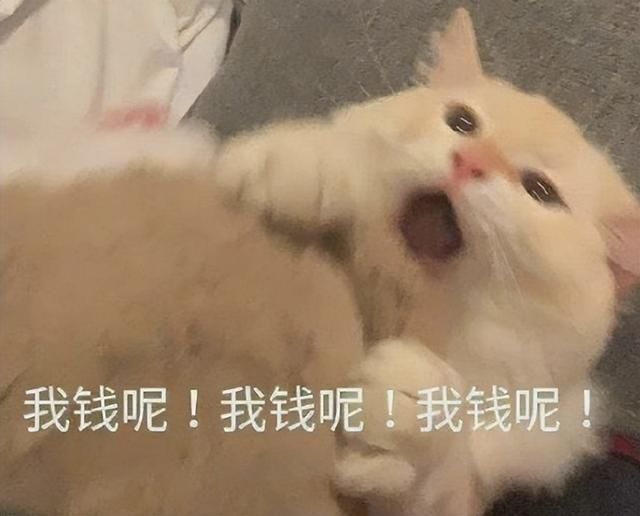 破防了！弃坑逆水寒3年，过年回家见哥们，5分钟就帮我赚了5000块