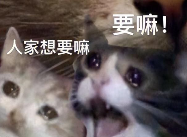 一人穿衣，全家共享？逆水寒手游首创共享衣柜，玩家全疯了！