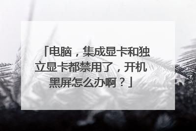 笔记本禁用集成显卡会怎么样,笔记本禁用集成显卡后黑屏