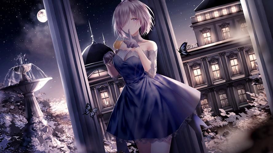 fgo fgowiki，fgowiki fandom