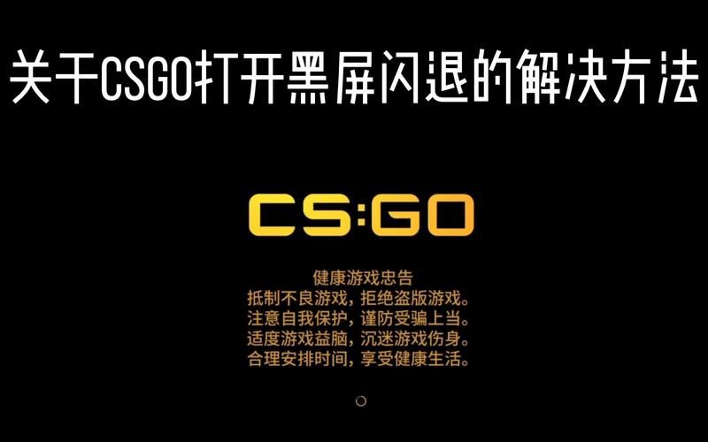 CSGO进游戏闪退，csgo游戏闪退不报错