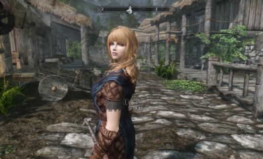 wrye bash.exe无法启动，wrye bash是什�? style=