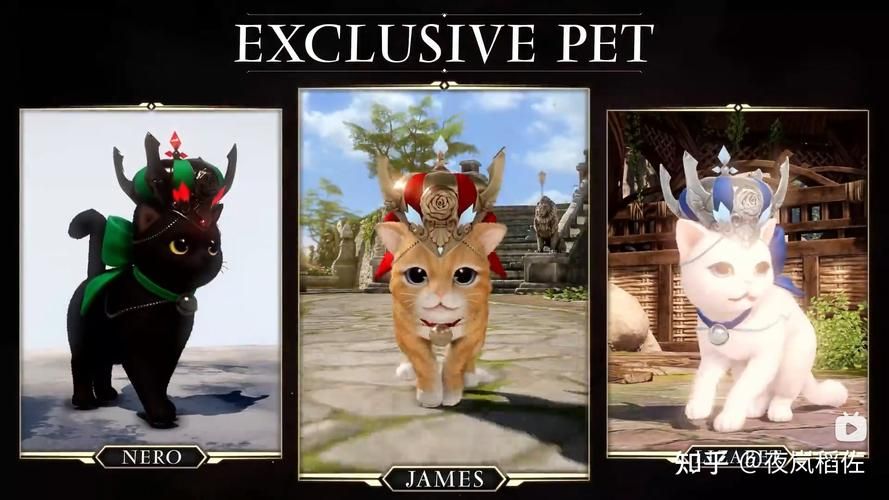 失落的方舟 宠物，失落的方舟动物时装大全