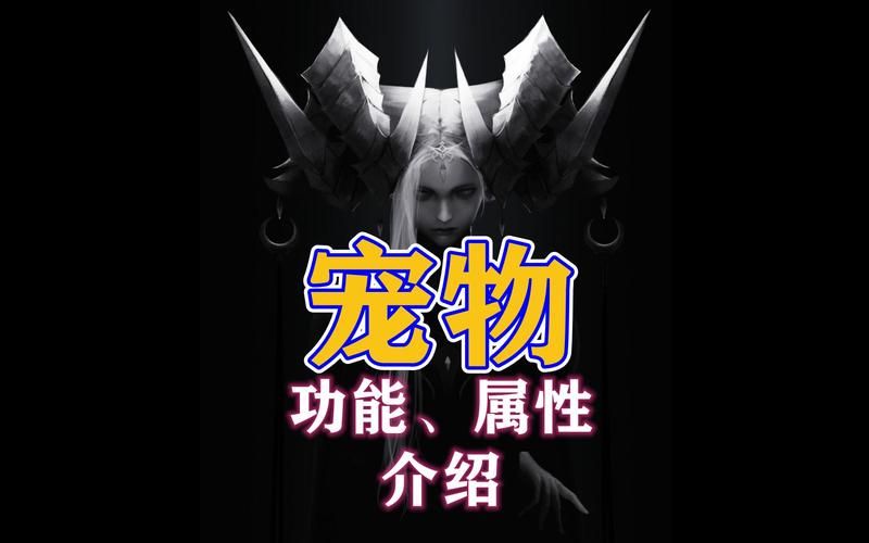 失落的方舟 宠物，失落的方舟动物时装大全