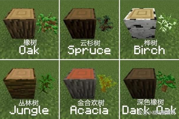 我的世界种一棵树要多久，我的世界种树间隔多少比较好