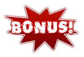 bonus什么意思饭圈,bonus什么意思篮球