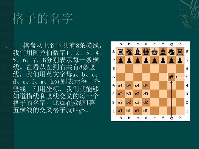 国际象棋一共多少颗棋子，国际象棋多少粒棋子
