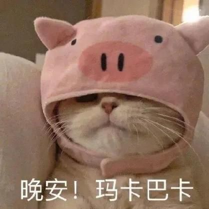 晚安玛卡巴卡什么梗
