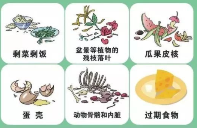 鸡骨头属于什么垃圾应该放入什么垃圾桶，鸡骨头是其他垃圾还是厨余垃圾
