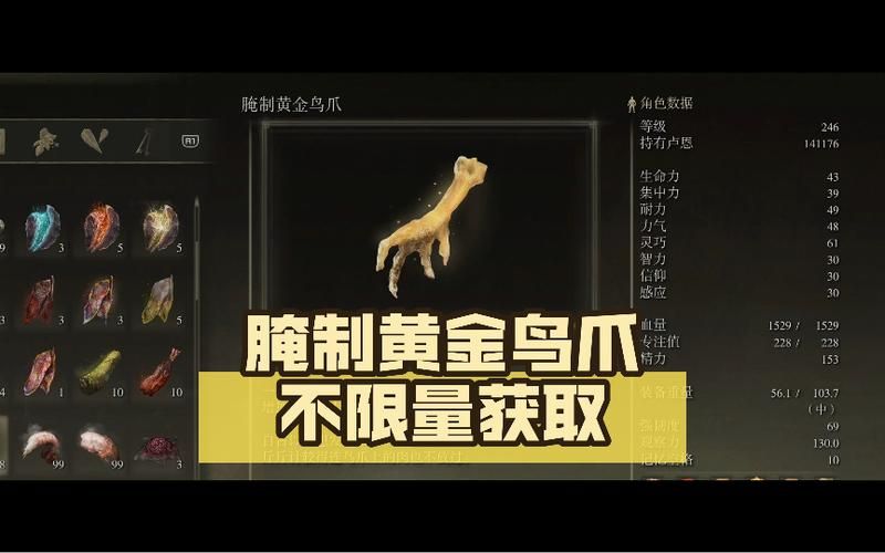 艾尔登法环黄金鸟爪坐赐福消失吗，艾尔登法环黄金鸟爪加多少卢恩