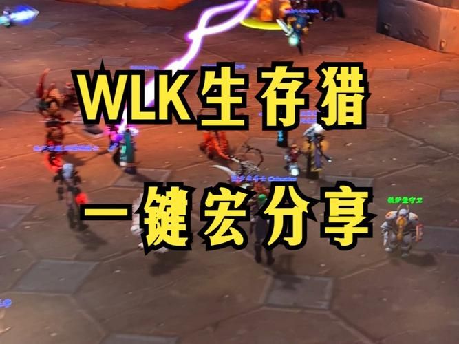 wlk猎人pvp宏，tbc猎人宏nga