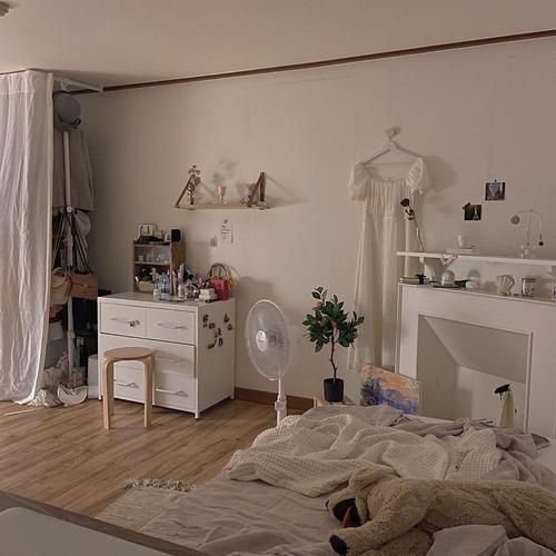 dreamroom是什么公司,dreamroom官网进入