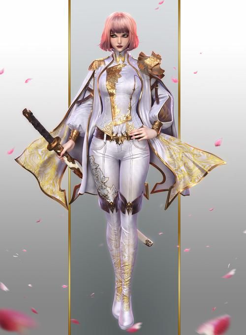 女圣骑士什么甲，女圣骑毕业套