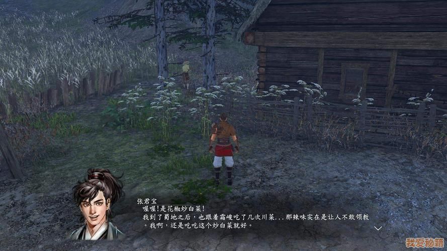 河洛群侠传张君宝入队流程，河洛群侠传张君宝入队条件