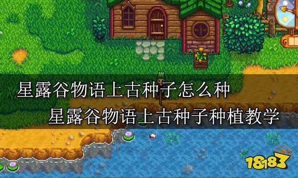 星露谷物语古代种子生长周期,星露谷物语古代种子获取
