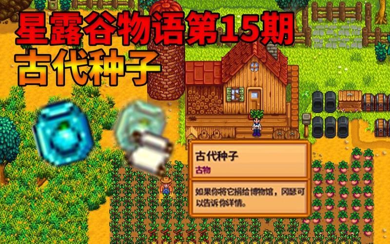 星露谷物语古代种子生长周期,星露谷物语古代种子获取