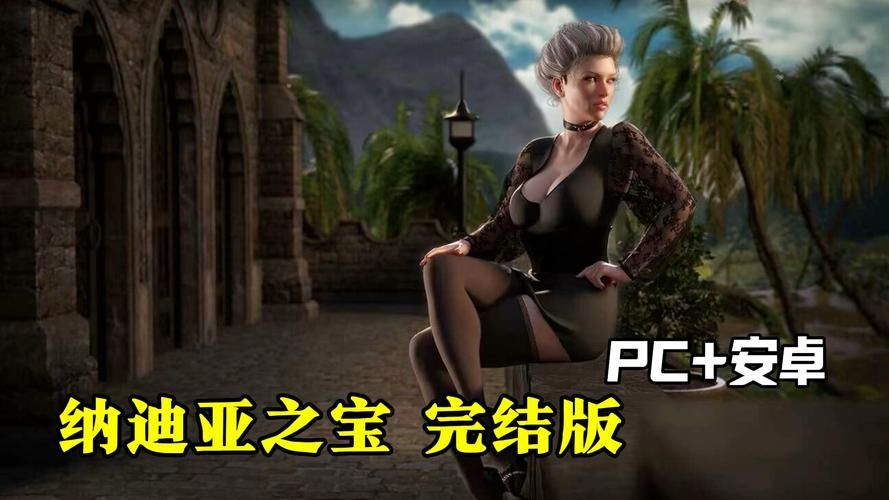 纳迪亚之宝游戏攻略